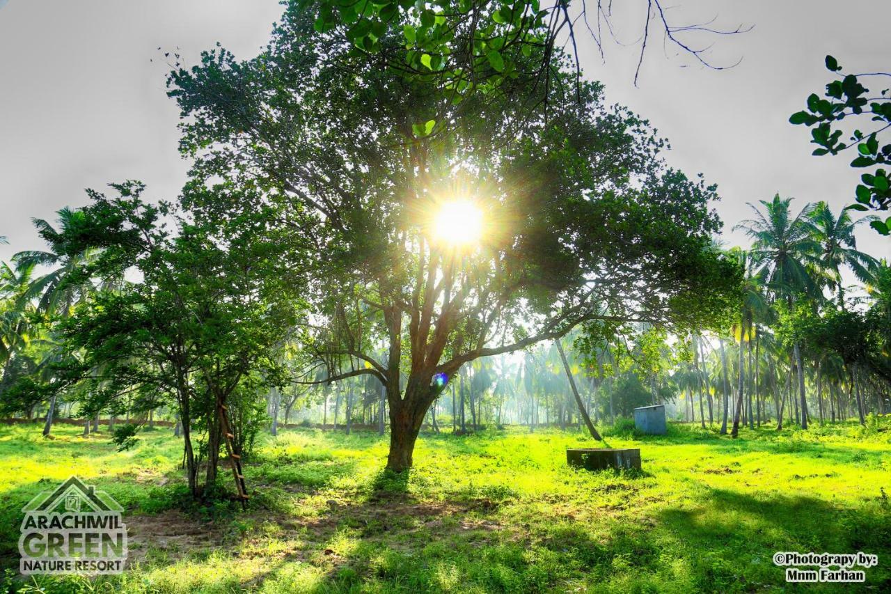 Arachiwil Green Nature Resort Puttalam Extérieur photo