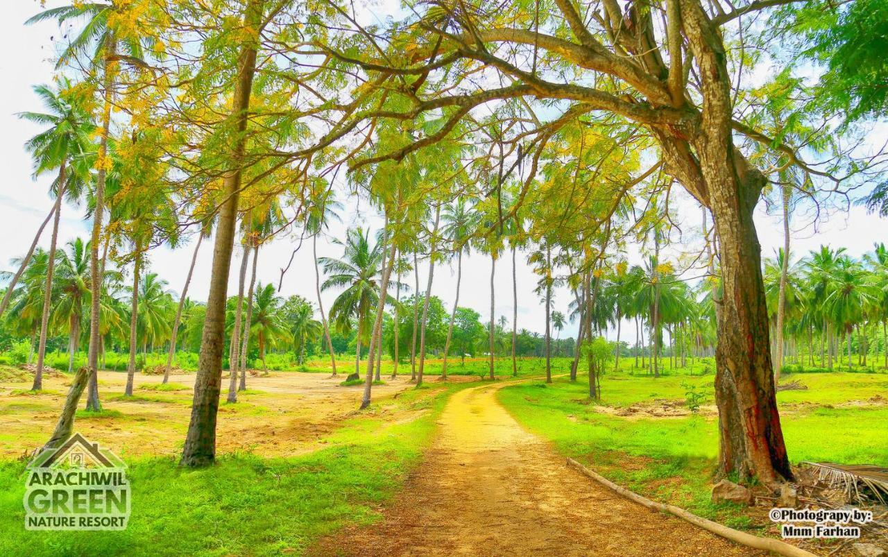 Arachiwil Green Nature Resort Puttalam Extérieur photo