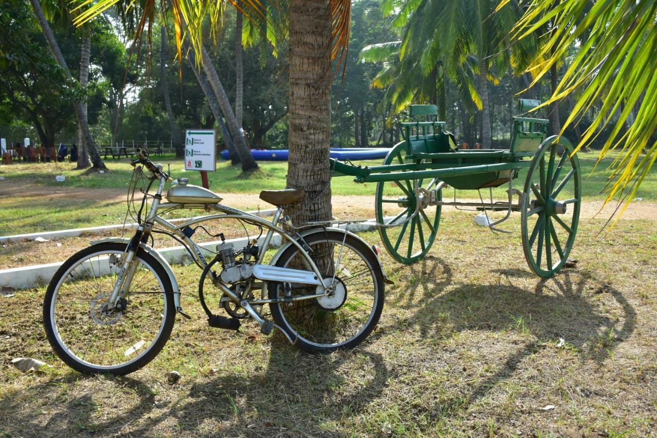 Arachiwil Green Nature Resort Puttalam Extérieur photo