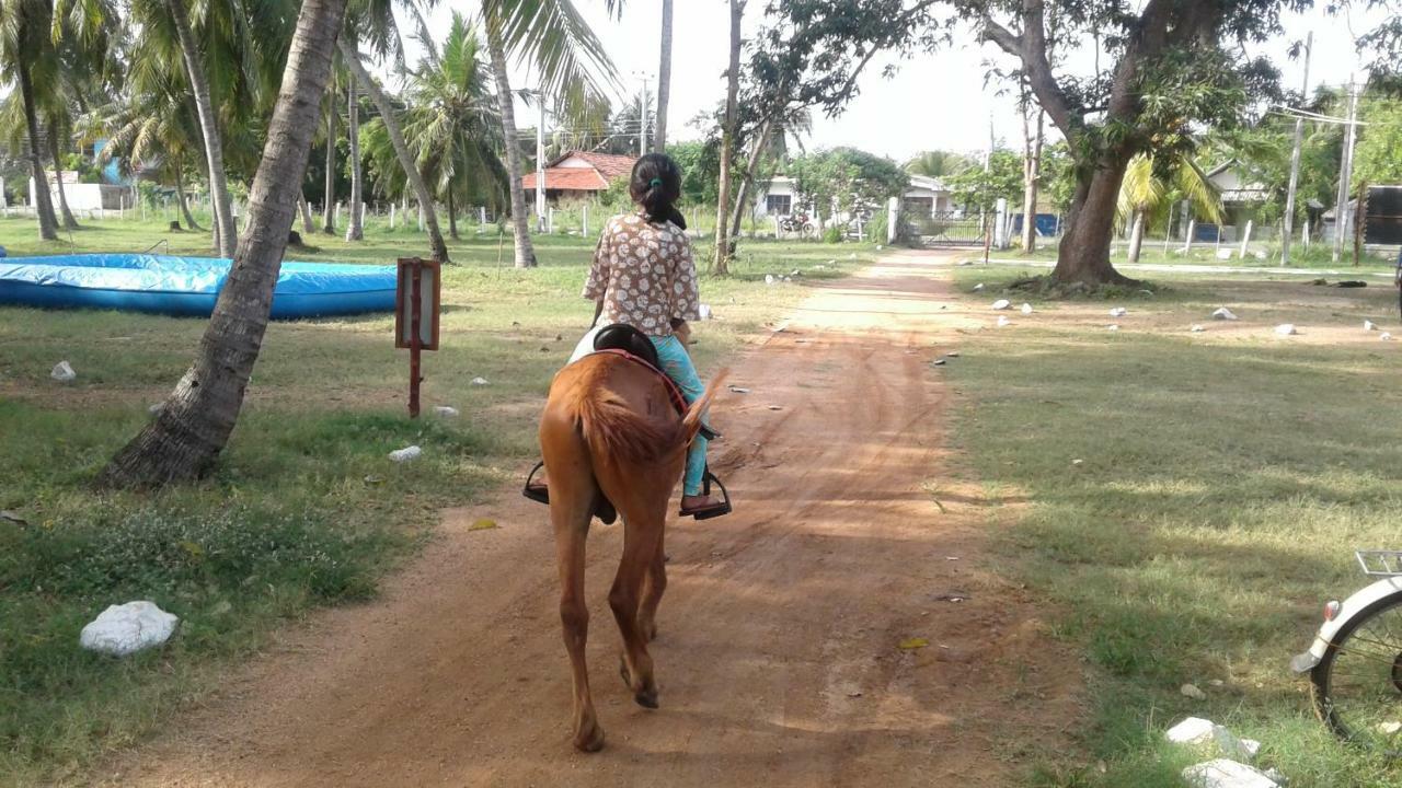 Arachiwil Green Nature Resort Puttalam Extérieur photo